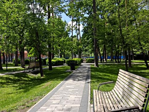 Квартира на вул. Миколи Шудрі в Києві, ID 239131, фото №20