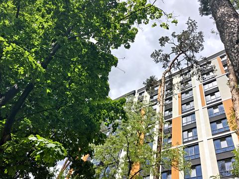 Квартира на вул. Миколи Шудрі в Києві, ID 239131, фото №22