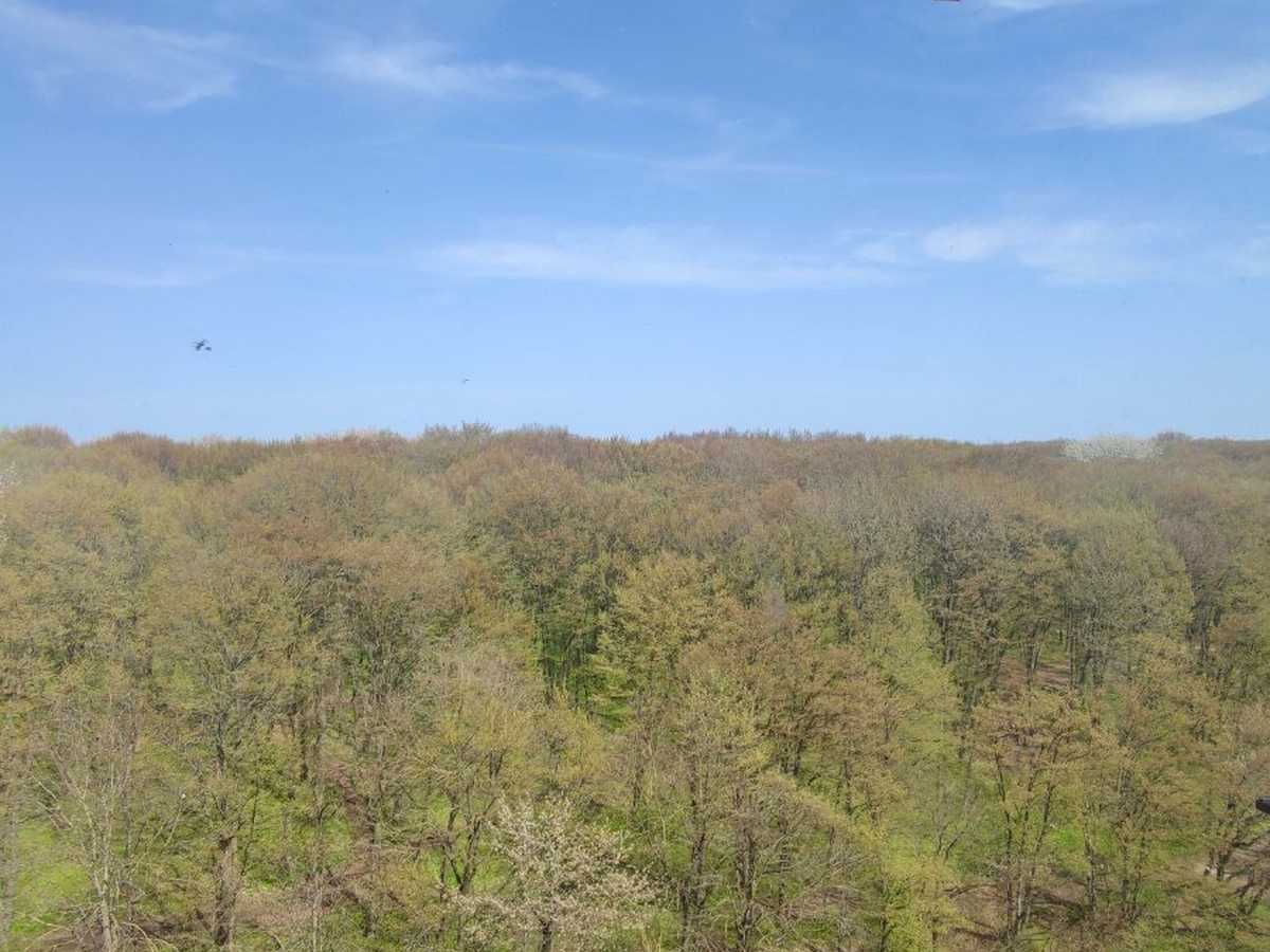 Квартира на вул. Лісогринівецька, 16 в Хмельницькому, ID 393124, фото №5