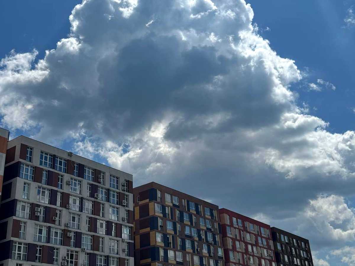 Квартира на вул. Балукова, 1 в Києві, ID 309874, фото №17