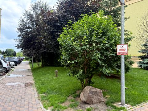 Квартира на вул. Зелена, 14 в Києві, ID 273608, фото №24