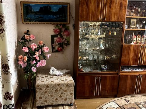 Квартира на вул. Едуарда Фукса, 29а в Кривому Розі, ID 171649, фото №16