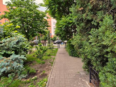 Квартира на просп. Миколи Бажана, 16 в Києві, ID 188778, фото №12