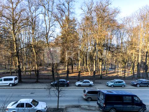 Квартира на вул. Чорновола, 117 в Івано-Франківську, ID 262175, фото №1