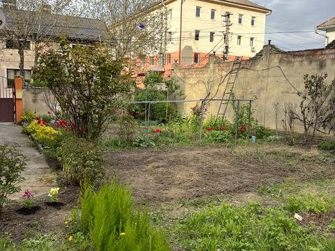 Квартира на вул. Мангаймська, 16 в Чернівцях, ID 224879, фото №7