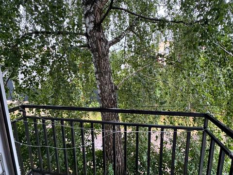 Квартира на вул. Іспаська, 15 в Чернівцях, ID 229729, фото №13