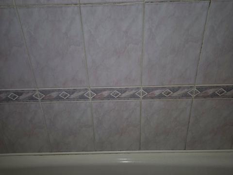 Квартира на вул. Святого Миколая, 69 в Запоріжжі, ID 259621, фото №5