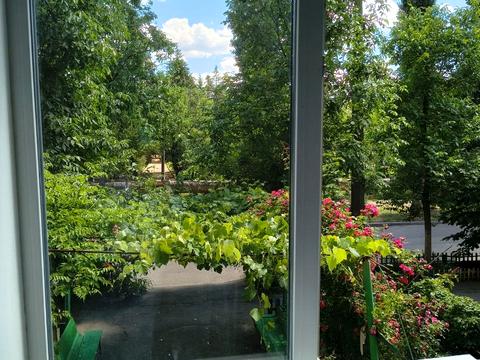Квартира на вул. Шкапенка, 19 в Кривому Розі, ID 183997, фото №11