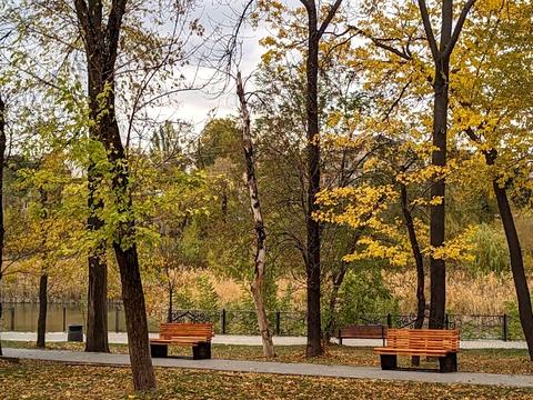 Квартира на вул. Шкапенка, 19 в Кривому Розі, ID 183997, фото №14