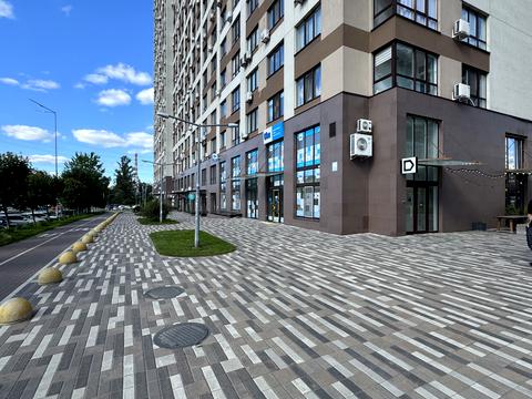 Квартира на просп. Європейського Союзу, 45-А в Києві, ID 178623, фото №11