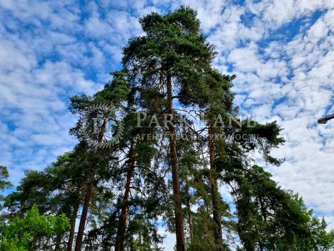 Квартира на вул. Павла Петриченка, 75 в Києві, ID 172053, фото №11