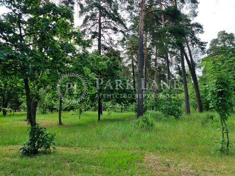 Квартира на вул. Павла Петриченка, 75 в Києві, ID 172053, фото №12