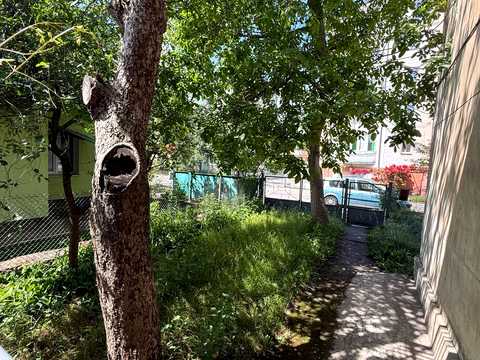 Квартира на вул. Лева Трещаківського вул., 12 Б в Львові, ID 290824, фото №15
