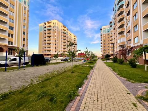 Квартира на вул. Івана Кожедуба, 8-Б в Києві, ID 234838, фото №14