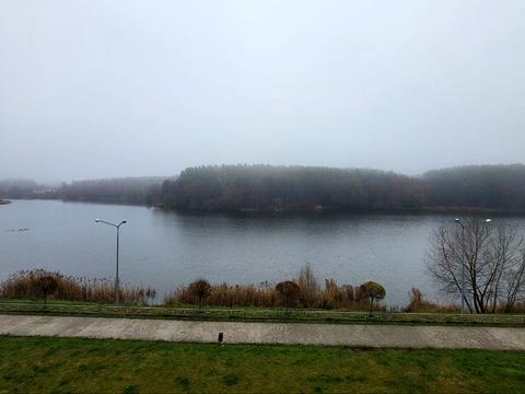 Квартира на вул. Стрілецька, 98 в Чернігові, ID 246321, фото №1