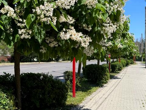 Квартира на вул. Радісна в Одесі, ID 190234, фото №3