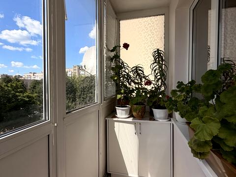Квартира на вул. Шота Руставелі, 10 в Луцьку, ID 233372, фото №11