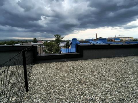 Квартира на вул. Юліана Пелеша вул., 5, к3 в Івано-Франківську, ID 268563, фото №24