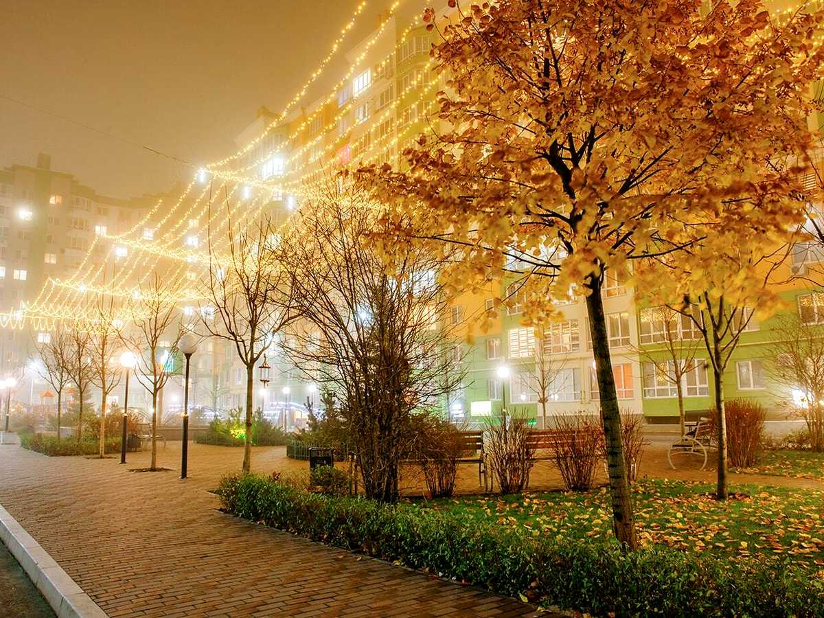 Квартира на вул. Щастя, 7 в Києві, ID 309845, фото №4