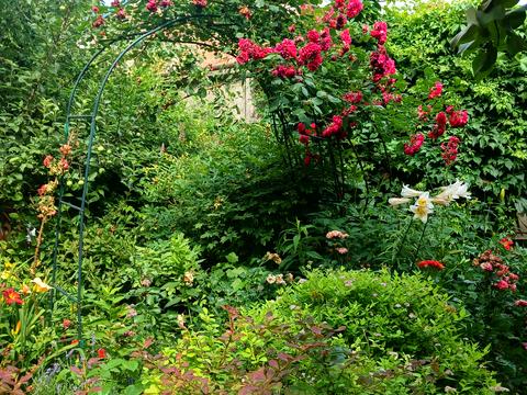 Квартира на вул. Січових Стрільців, 38 в Івано-Франківську, ID 182439, фото №10