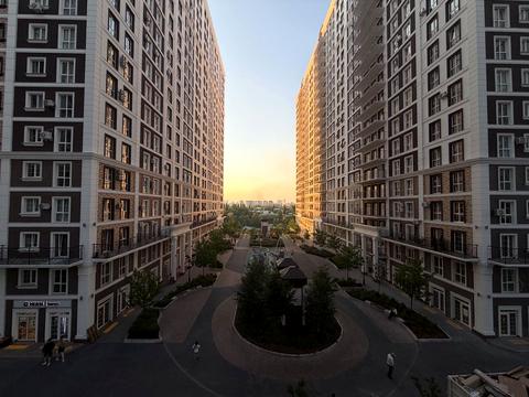 Квартира на вул. Михайла Максимовича, 26-В в Києві, ID 199275, фото №3