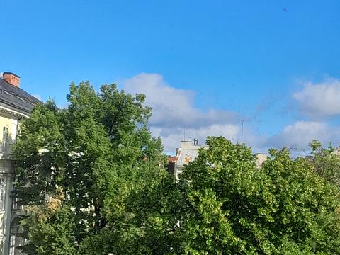 Квартира на пл. Ринок, 12 в Львові, ID 185165, фото №1