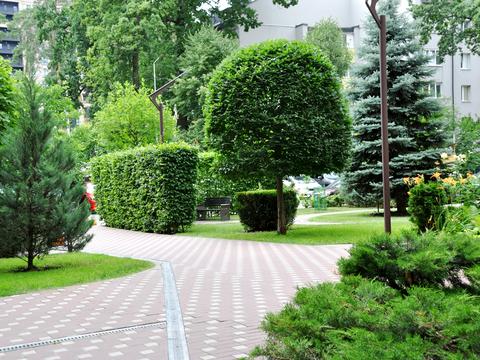 Квартира на вул. Мінеральна, 7-К в Києві, ID 221197, фото №3