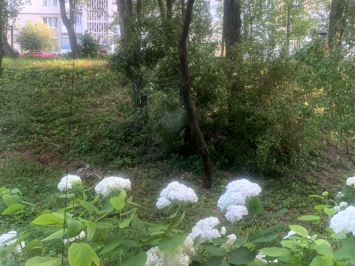 Квартира на вул. Кушнірука, 20 в Хмельницькому, ID 392837, фото №15