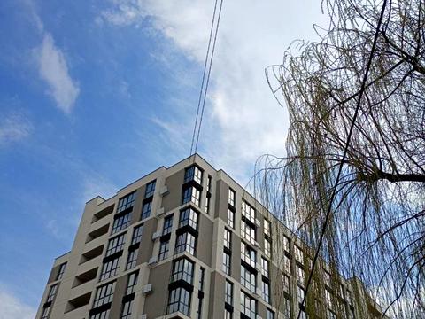 Квартира на вул. Гната Хоткевича в Івано-Франківську, ID 264156, фото №4