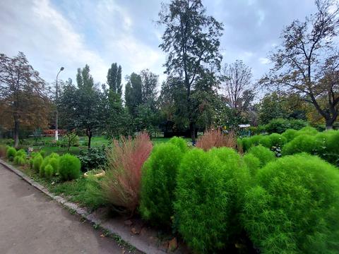 Квартира на вул. Свято-Миколаївська, 8 в Кривому Розі, ID 192400, фото №19