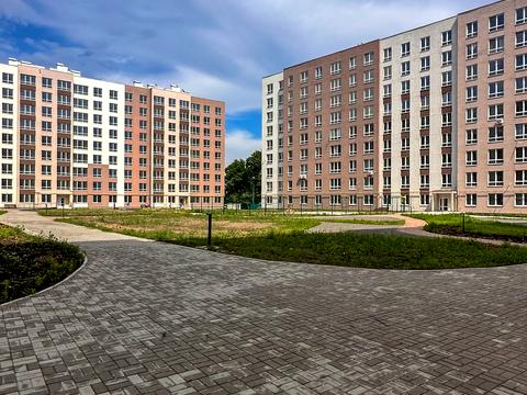 Квартира на вул. Князя Володимира Великого в Києві, ID 245754, фото №17