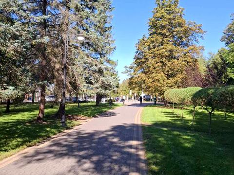 Квартира на вул. Гетьмана Мазепи, 157 в Івано-Франківську, ID 173123, фото №6