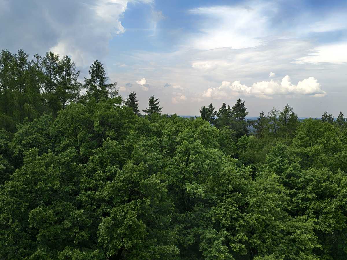 Квартира на вул. Петра Сагайдачного, 14А в Львові, ID 309698, фото №33