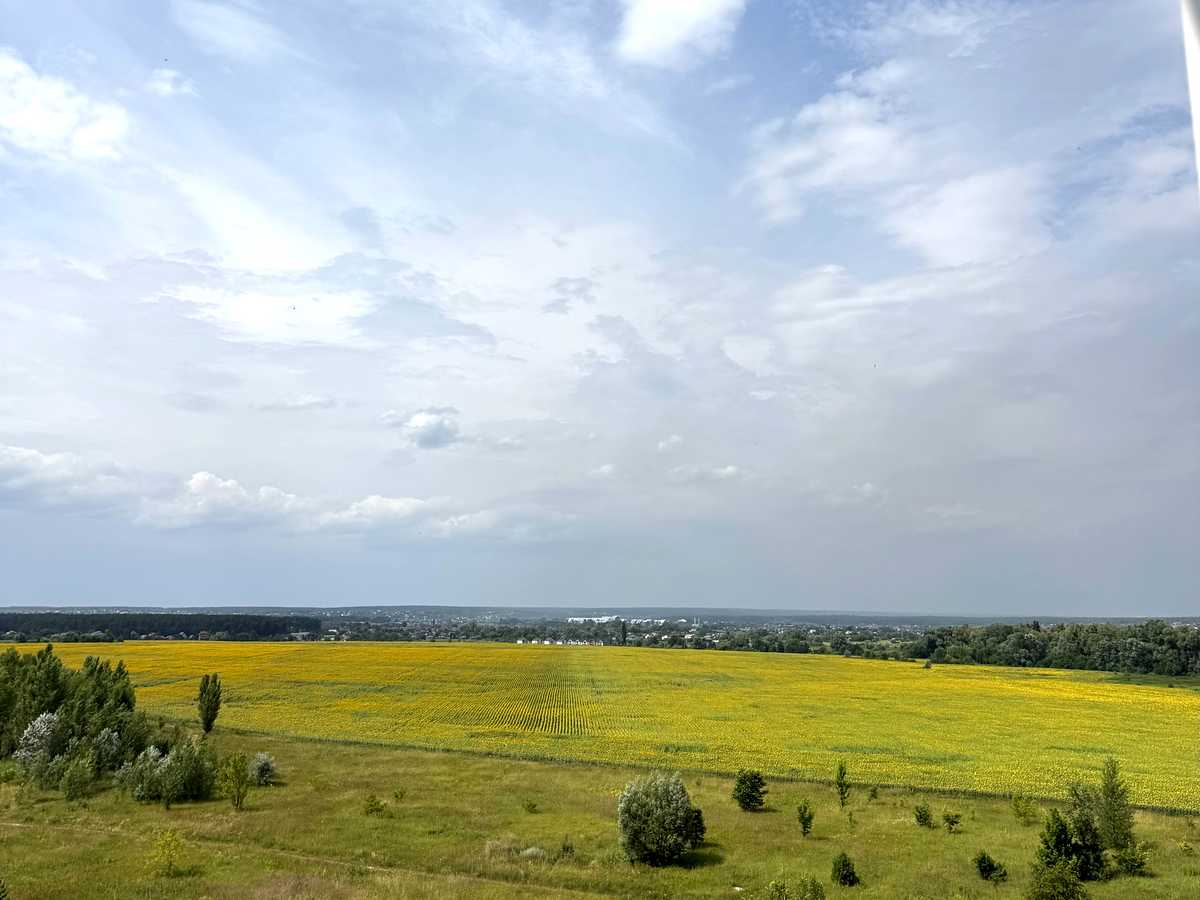 Квартира на вул. Європейська, 4 в Києві, ID 313345, фото №11