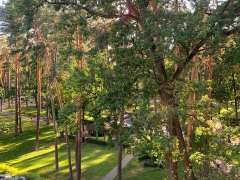 Квартира на вул. Академіка Заріфи Алієвої, 104 в Києві, ID 230490, фото №13