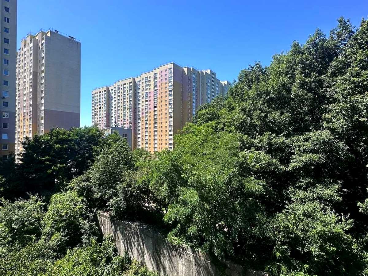 Квартира на вул. Кургузова, 3-А в Києві, ID 309613, фото №14