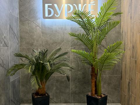 Квартира на вул. Лесі Українки, 3 в Києві, ID 242228, фото №11