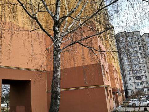Квартира на вул. В'ячеслава Чорновола, 4 в Рівному, ID 162869, фото №23