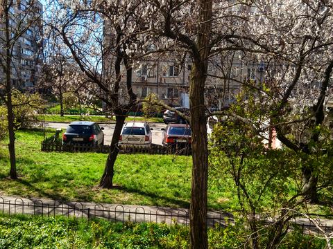 Квартира на просп. Романа Шухевича, 30 в Києві, ID 200434, фото №16
