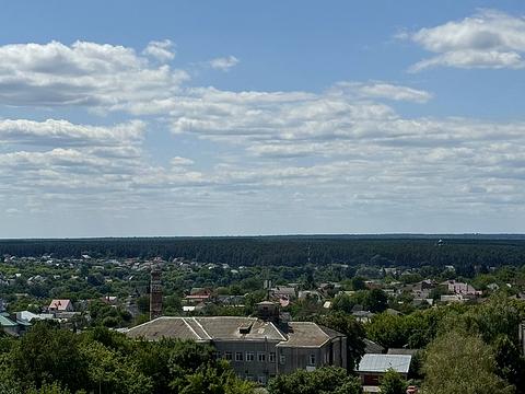 Квартира на вул. Домбровського в Житомирі, ID 242941, фото №4