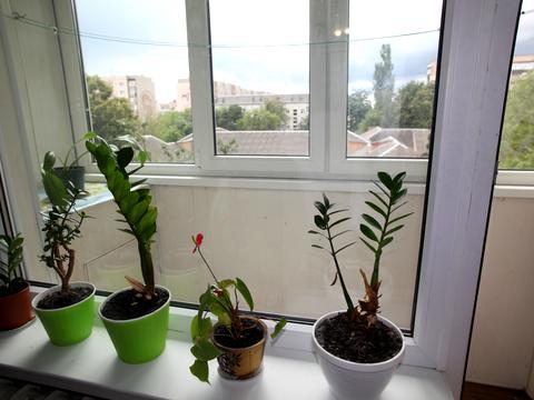 Квартира на вул. Гната Хоткевича вул., 50/3 в Івано-Франківську, ID 198530, фото №8