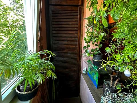 Квартира на вул. Василя Симоненка, 22 в Івано-Франківську, ID 210560, фото №12