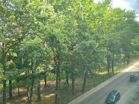 Квартира на вул. Багряного, 39 в Чернігові, ID 235950, фото №17