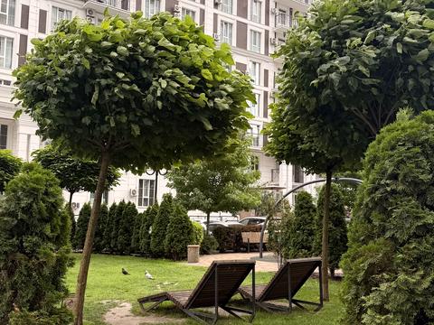 Квартира на вул. Михайла Максимовича, 28-Б в Києві, ID 217171, фото №14