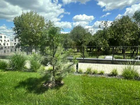 Квартира на вул. Пилипа Орлика, 30 в Львові, ID 213519, фото №10
