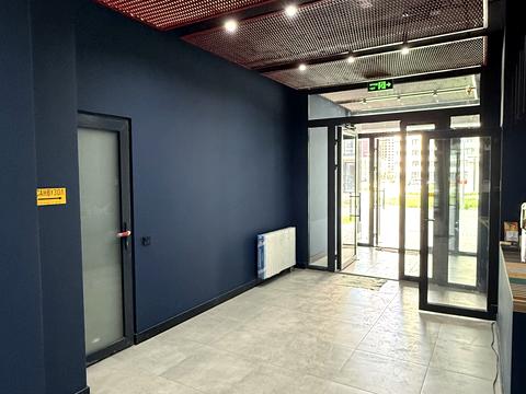 Квартира на вул. Олександра Олеся, 13 в Києві, ID 213838, фото №10
