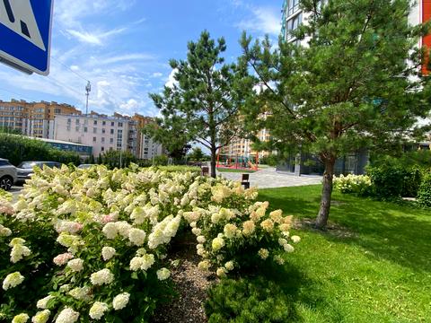 Квартира на вул. Оксамитова, 11-Б в Києві, ID 273751, фото №11