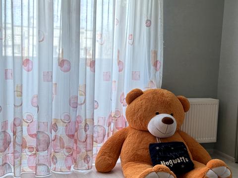 Квартира на вул. Академіка Чекмарьова, 2 в Дніпрі, ID 214458, фото №25