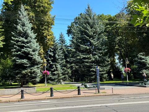 Квартира на вул. Новонаводницька, 4 в Києві, ID 217432, фото №12