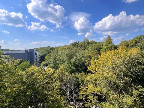 Квартира на вул. Липова Алея, 5 в Львові, ID 217498, фото №4